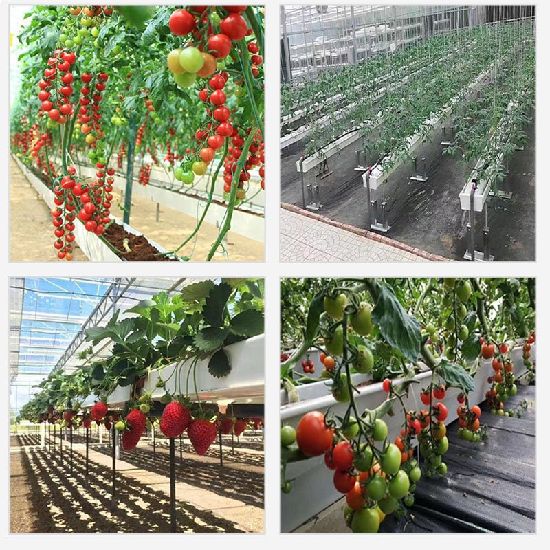 Hydroponic Greenhouses Commercial Strawberry Planting Gutter Greenhouse PVC strawberry trough Hydroponic Growing Tray