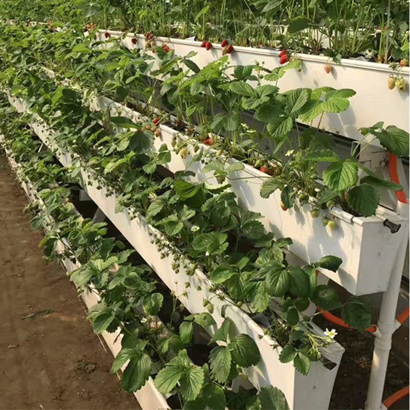 Hydroponic Greenhouses Commercial Strawberry Planting Gutter Greenhouse PVC strawberry trough Hydroponic Growing Tray