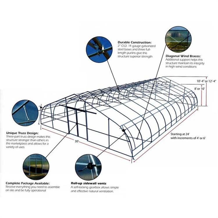 Large 10*30m Single Layer PE Film Greenhouse for Garden & Agriculture Steel & Plastic Cover for Fish Farming