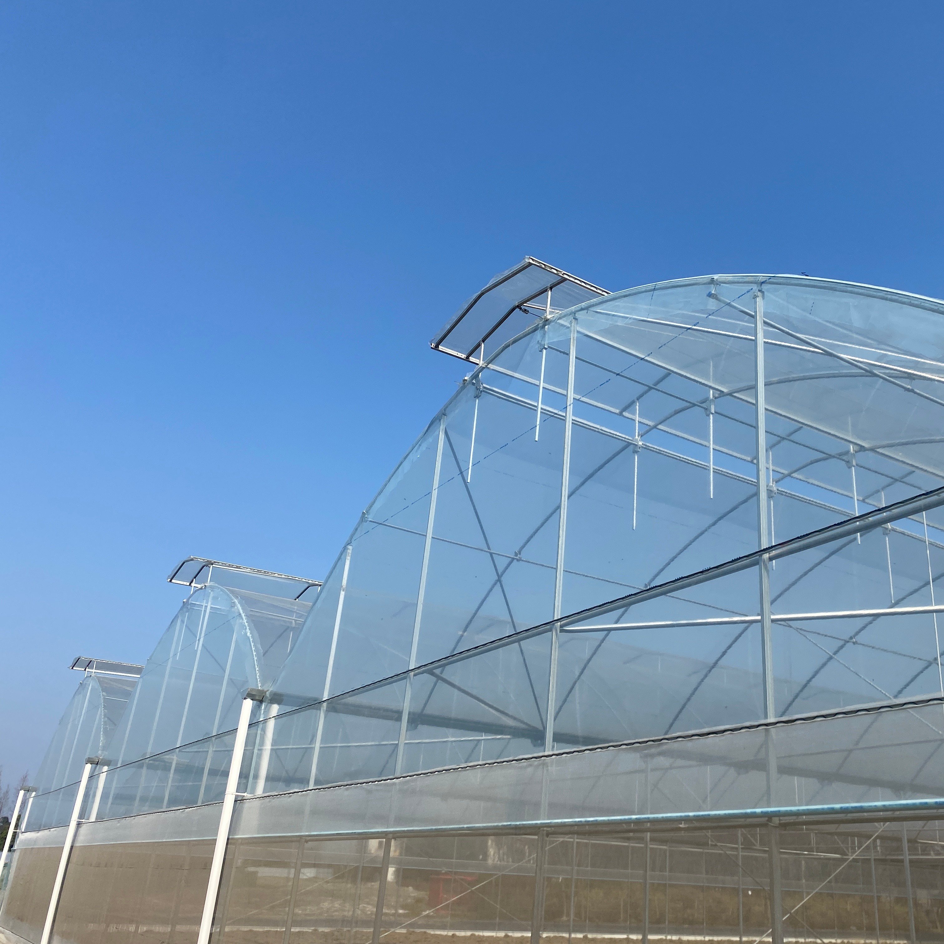 agriculture for mushroom hot galvanized steel fully automated multi span film greenhouse