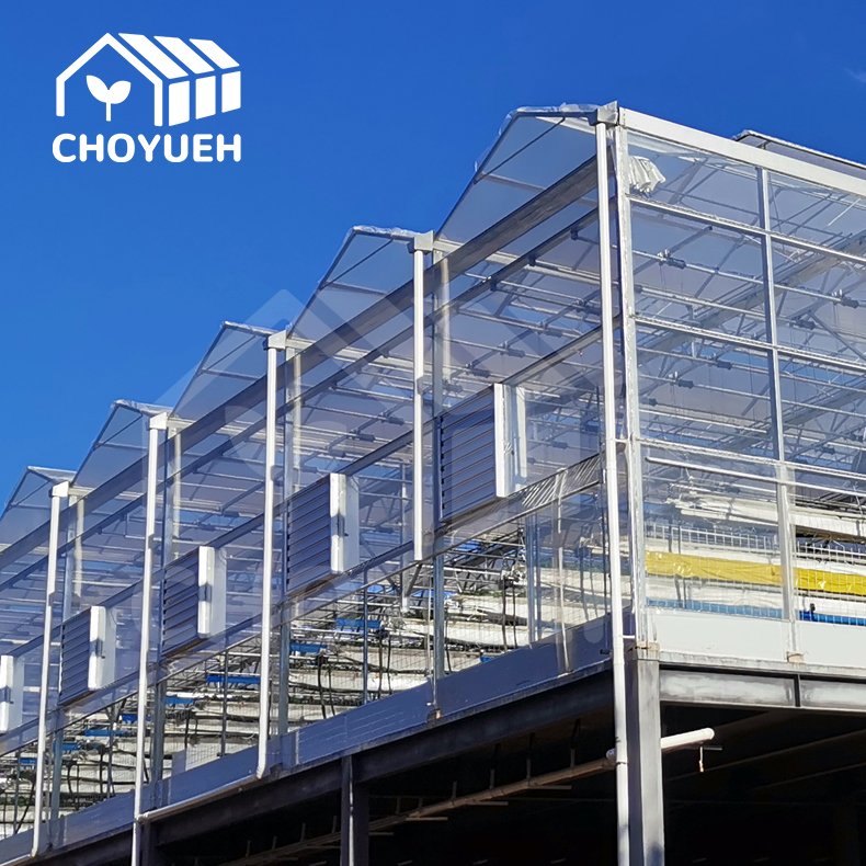 agriculture for mushroom hot galvanized steel fully automated multi span film greenhouse