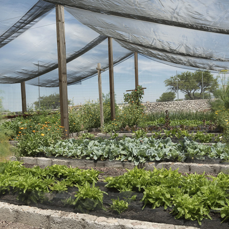Black Green Garden Shade Net Greenhouse Net Shade Agriculture Big Roll Shading Net