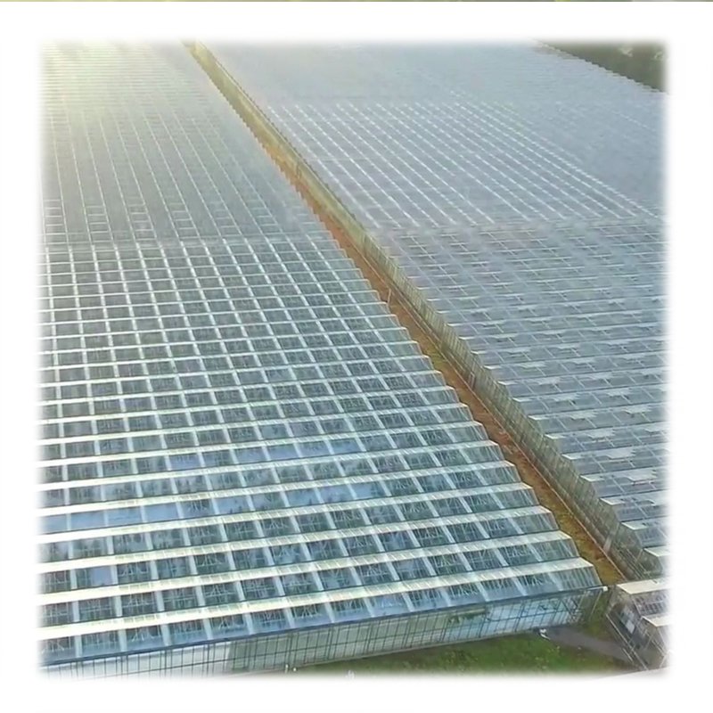 smart irrigation vertical hydroponic system agricultural farming Muti-span Venlo agriculture glass greenhouse