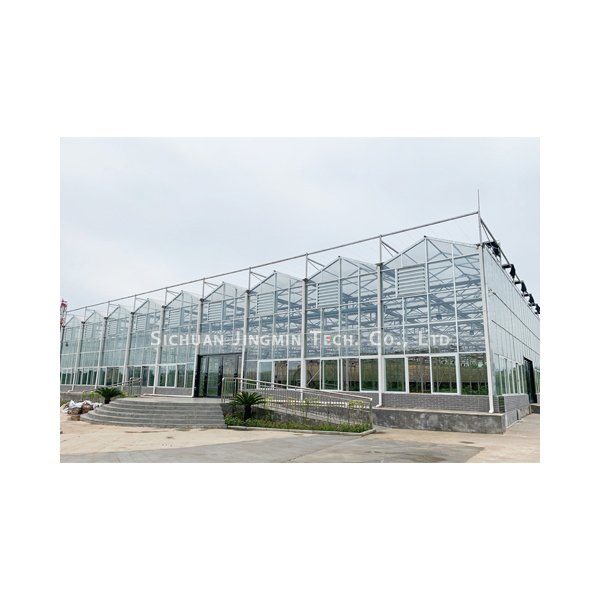Modern Style High-Efficient Agricultural Greenhouse Hydroponic Growing System Venlo Glass Green house