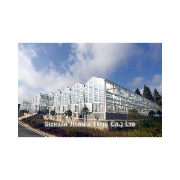 Modern Style High-Efficient Agricultural Greenhouse Hydroponic Growing System Venlo Glass Green house