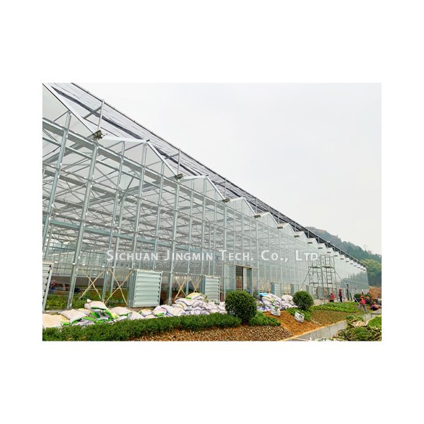 Modern Style High-Efficient Agricultural Greenhouse Hydroponic Growing System Venlo Glass Green house