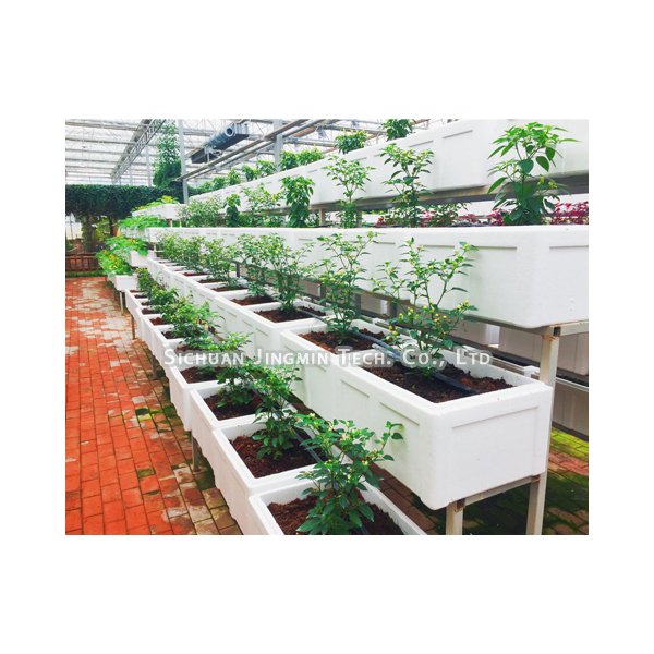 Modern Style High-Efficient Agricultural Greenhouse Hydroponic Growing System Venlo Glass Green house