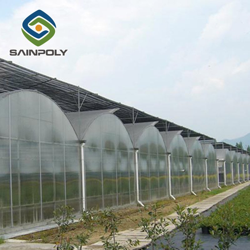 Large agricultural film greenhouse mushroom farm used for sale