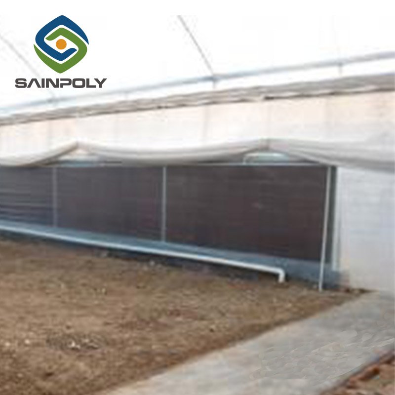 Large agricultural film greenhouse mushroom farm used for sale