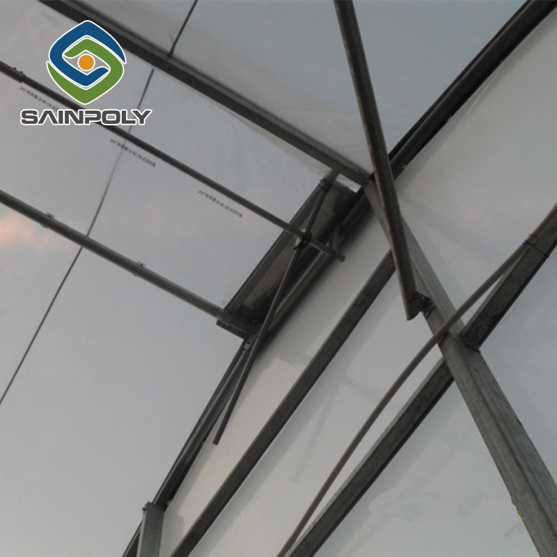 Large agricultural film greenhouse mushroom farm used for sale
