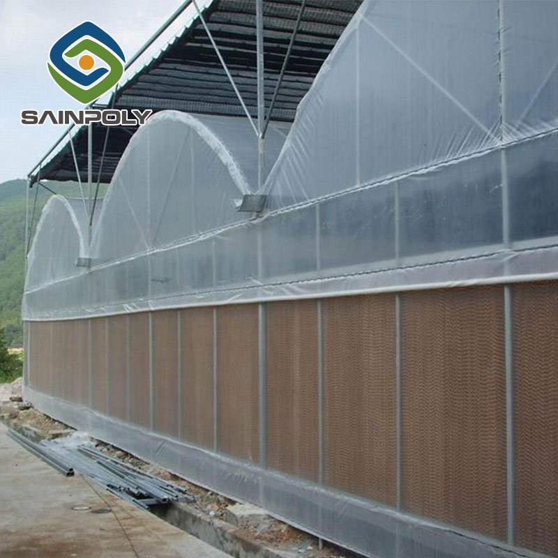 Large agricultural film greenhouse mushroom farm used for sale