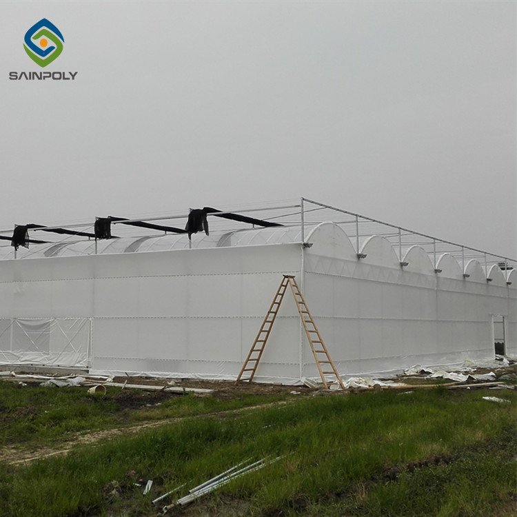 Sainpoly Hot Sale Automated Light Deprivation Greenhouse for Special Agriculture