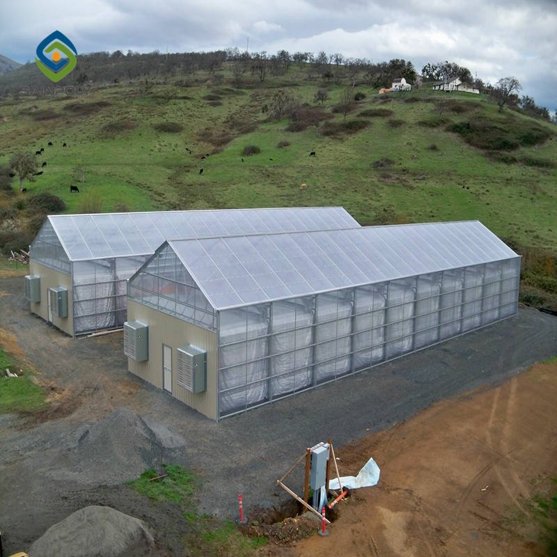 Sainpoly Hot Sale Automated Light Deprivation Greenhouse for Special Agriculture