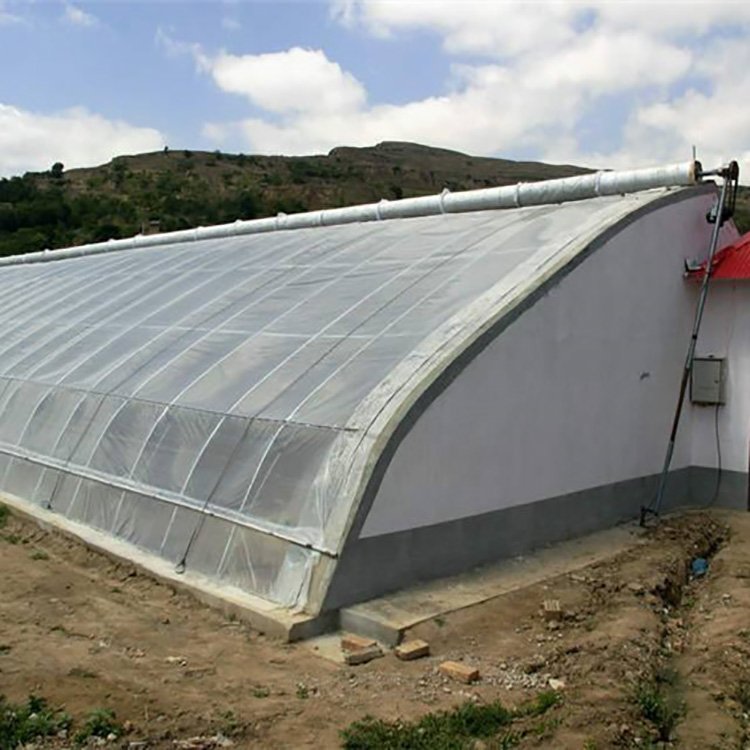 Low cost single span plant overwintering brick wall greenhouse agricultural insulation greenhouse frame