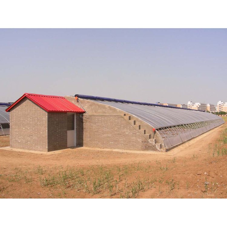Low cost single span plant overwintering brick wall greenhouse agricultural insulation greenhouse frame