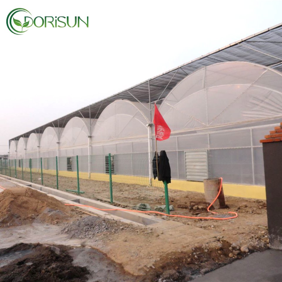 Low Price multi Span Greenhouse Agricultural Greenhouses Polycarbonate Greenhouse For Outdoor
