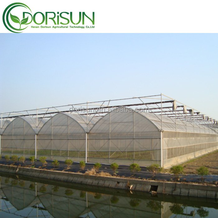 Low Price multi Span Greenhouse Agricultural Greenhouses Polycarbonate Greenhouse For Outdoor