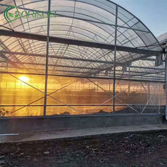 Low Price multi Span Greenhouse Agricultural Greenhouses Polycarbonate Greenhouse For Outdoor