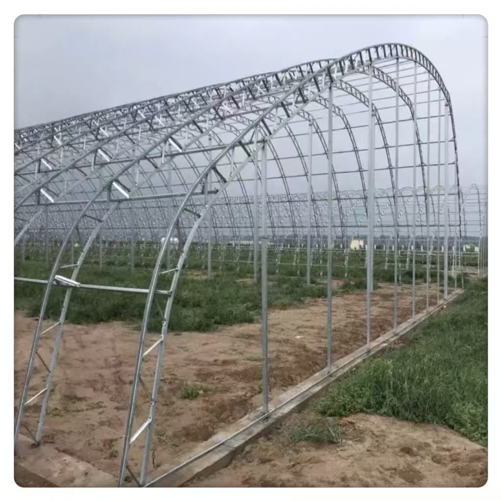 Customizable Large Agricultural Garden Greenhouse Double Layer Square Film Galvanized Steel Pipe with plastic film single shed