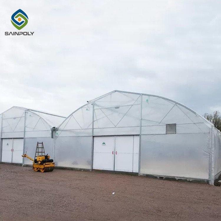 Sainpoly Large Economic Plastic Film Greenhouse High Quality for Hydroponic Agriculture Plant Care