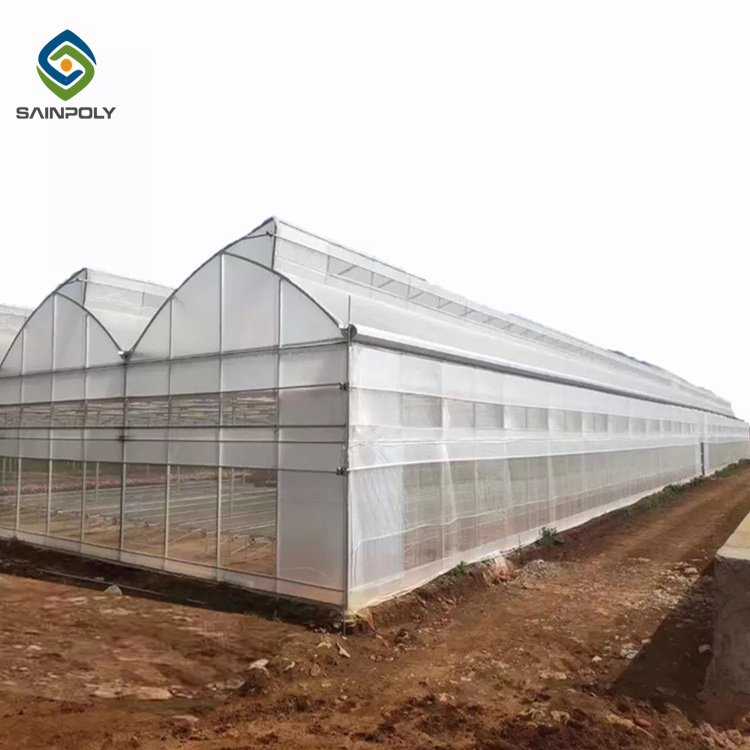 Sainpoly Large Economic Plastic Film Greenhouse High Quality for Hydroponic Agriculture Plant Care