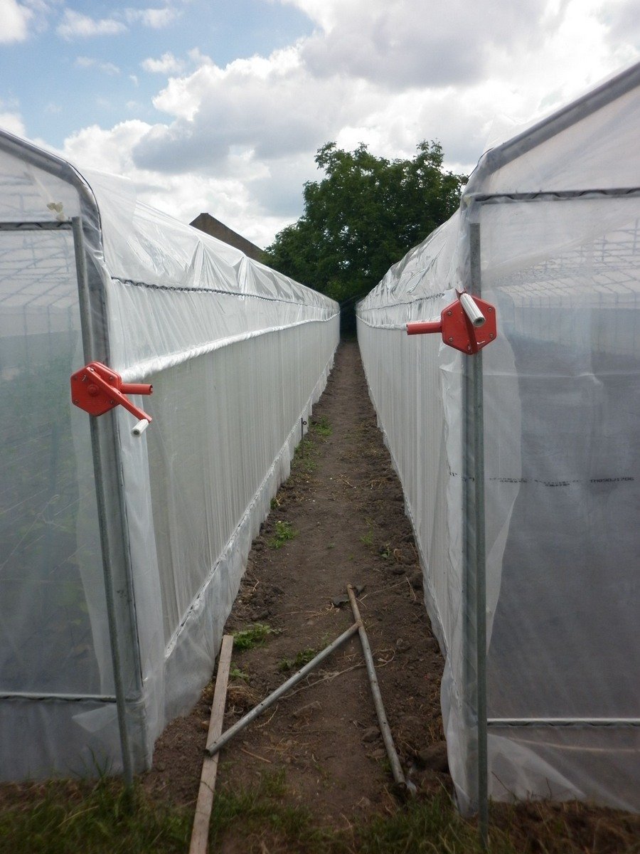Vegetable agricultural green house Single-Span PE Plastic Film Greenhouses Poly tunnel greenhouse for sale