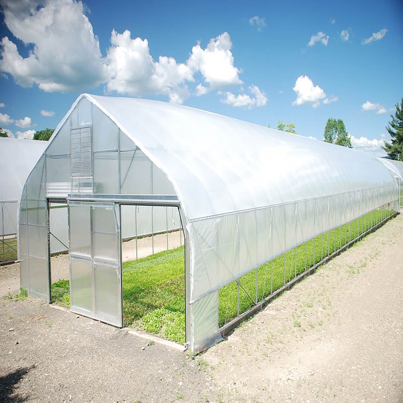 Agricultural Greenhouse from china green house factory