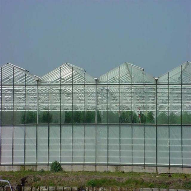 Agricultural Greenhouse from china green house factory
