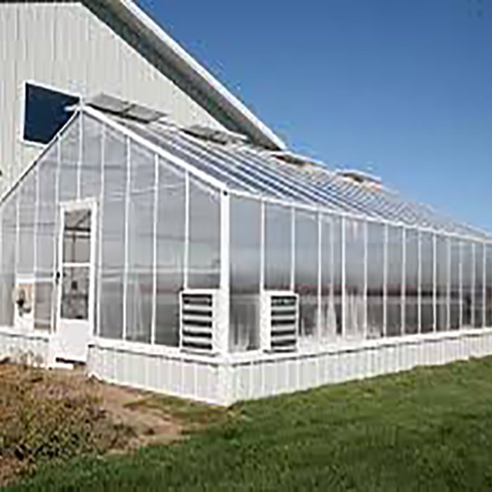 Agricultural Greenhouse from china green house factory