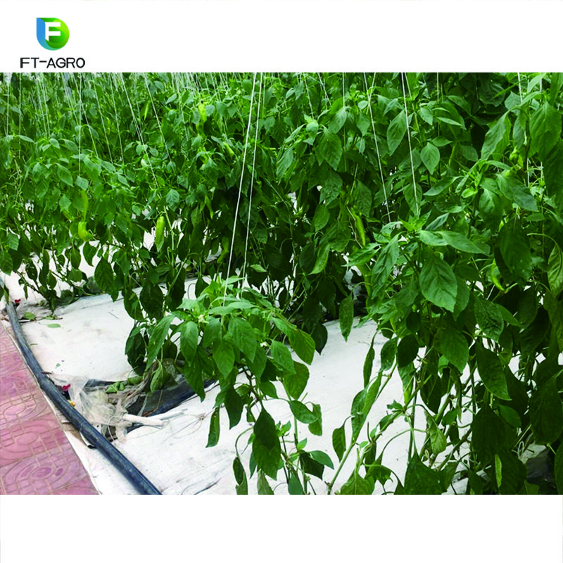 2024 new model NFT hydroponic growing system making full use of space