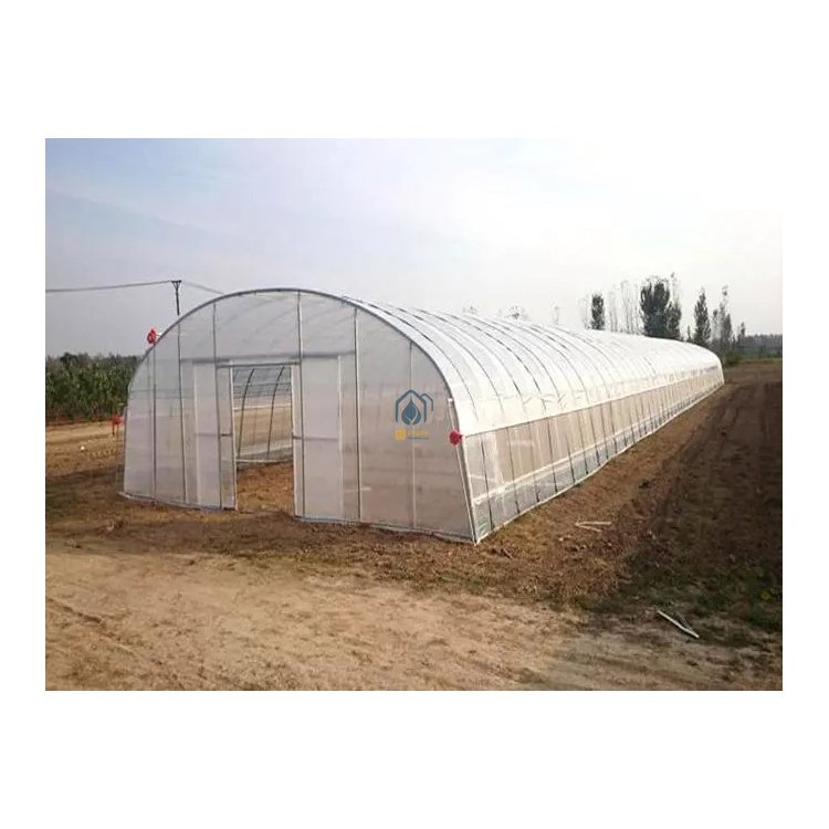 Agriculture greenhouse aluminium metal equipment vegetable tunnel greenhouses