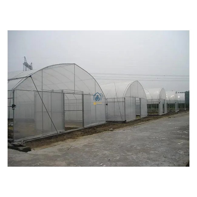 Agriculture greenhouse aluminium metal equipment vegetable tunnel greenhouses