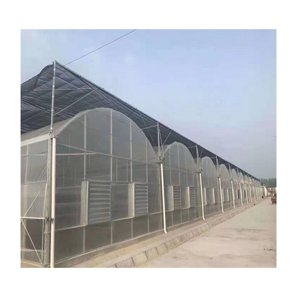 Container Multi Span Film Mushroom Plastic Multi-Span Commercial Farm Equipment Polyhouse Agriculture Greenhouse