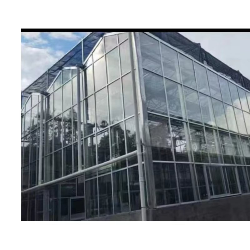 Factory wholesale Venlo type large glass agricultural greenhouse commercial research exhibition restaurant glass greenhouse