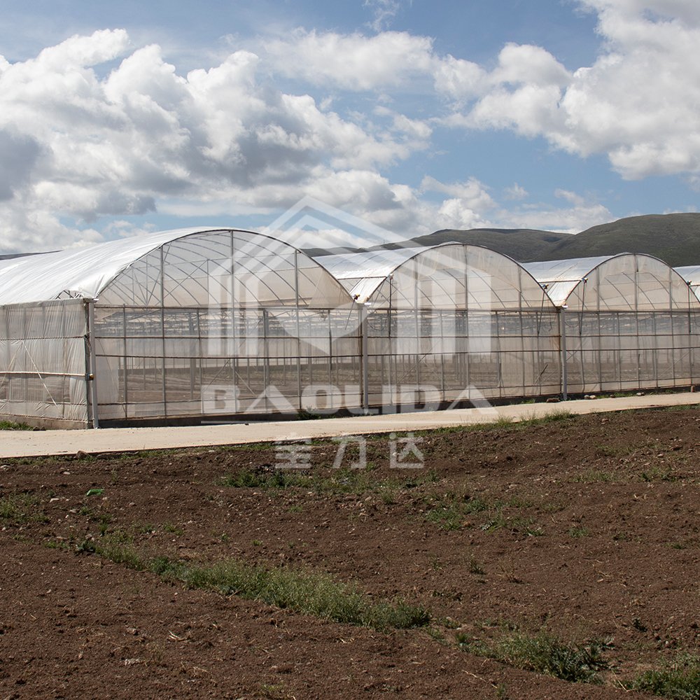 Hot dip galvanized steel pipe invernadero agricultural greenhouses used sale multispan greenhouse