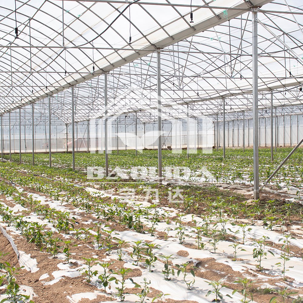 Hot dip galvanized steel pipe invernadero agricultural greenhouses used sale multispan greenhouse