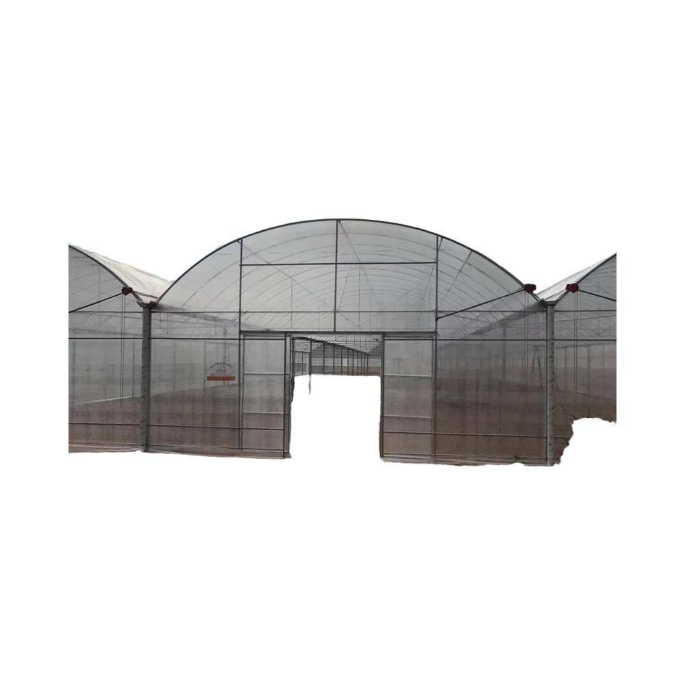 High Quality Steel Structure Greenhouse for Agriculture Long-Life Square Tube with Film Material for Plant Usage