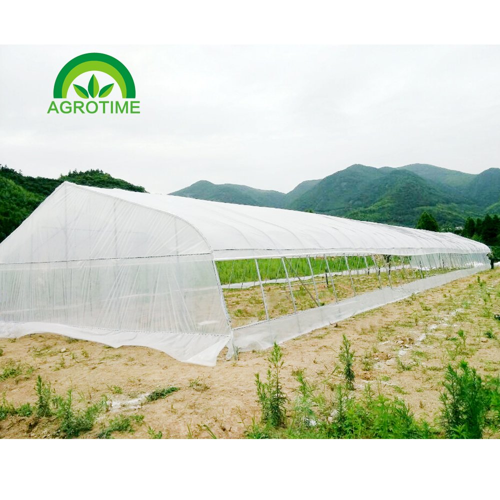 Hot anti insect screen greenhouse agricultural protect grrenhouse agriculture greenhouses