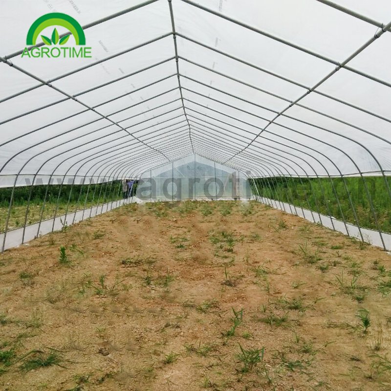 Hot anti insect screen greenhouse agricultural protect grrenhouse agriculture greenhouses
