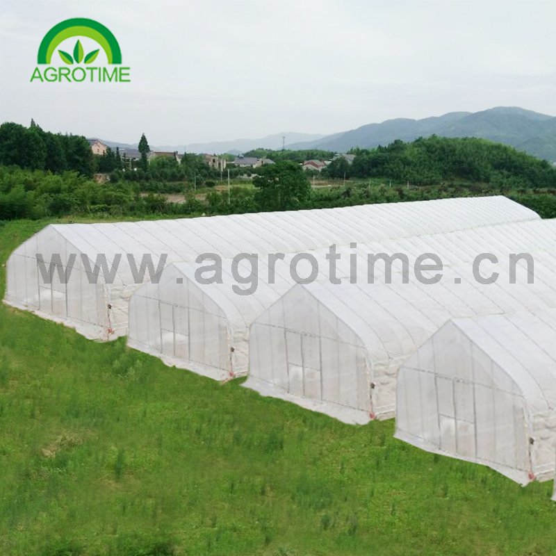Hot anti insect screen greenhouse agricultural protect grrenhouse agriculture greenhouses