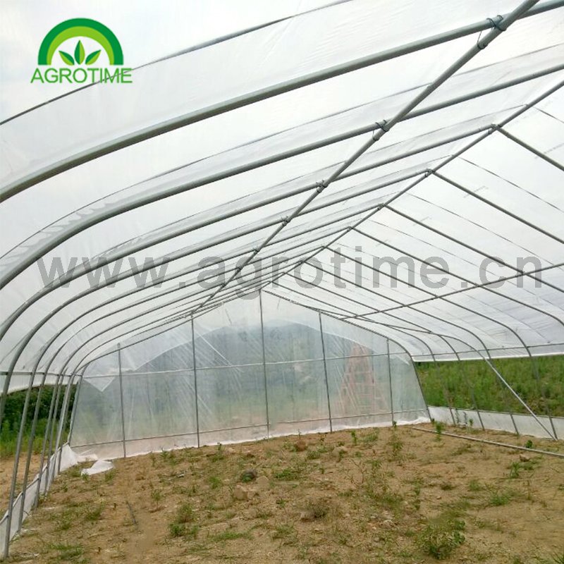 Hot anti insect screen greenhouse agricultural protect grrenhouse agriculture greenhouses