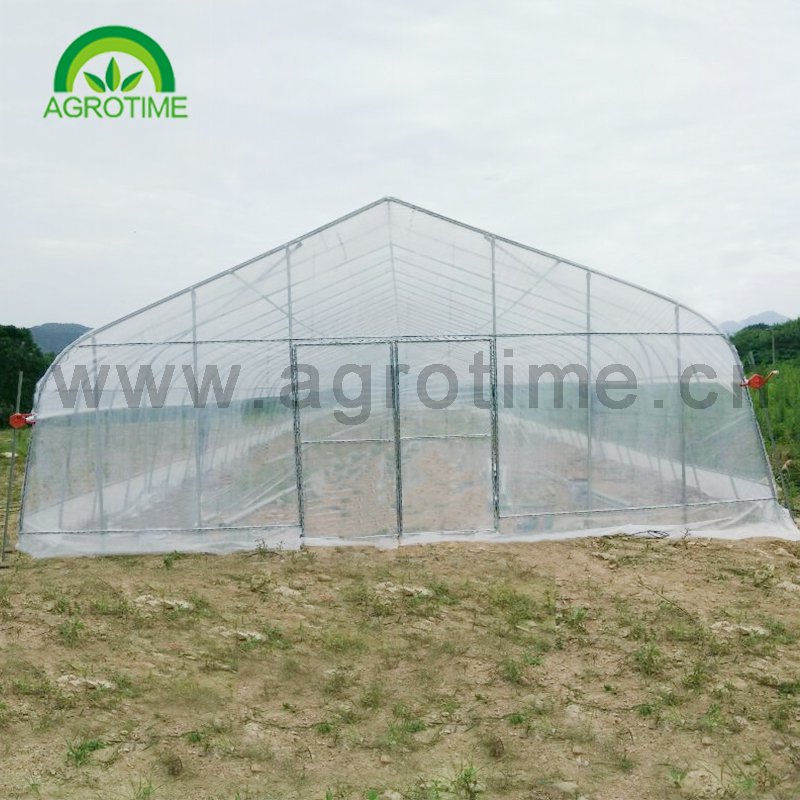 Hot anti insect screen greenhouse agricultural protect grrenhouse agriculture greenhouses