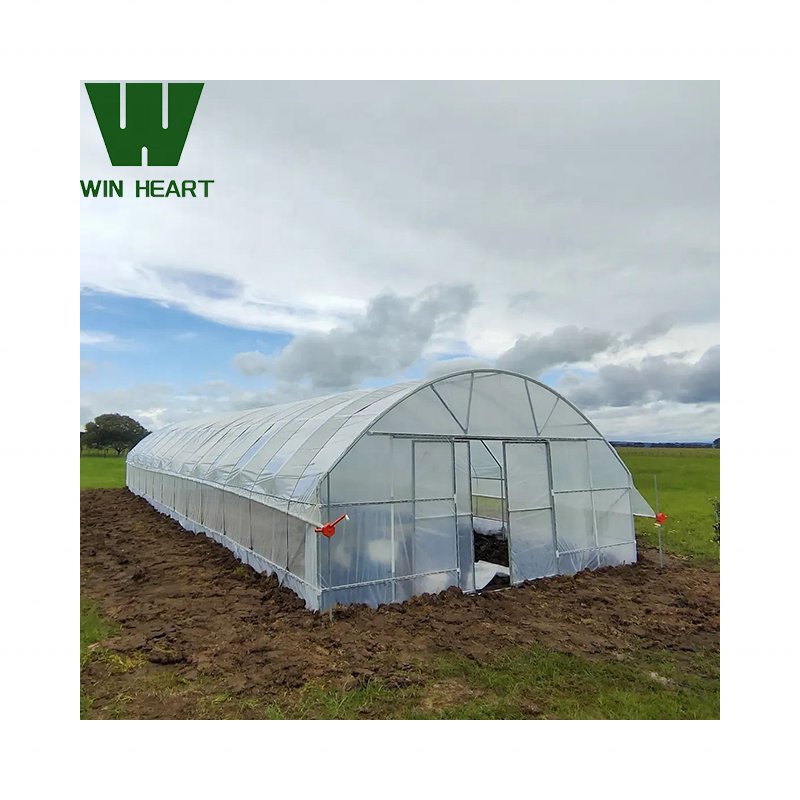 Single Tunnel Greenhouses for Vegetables growing
