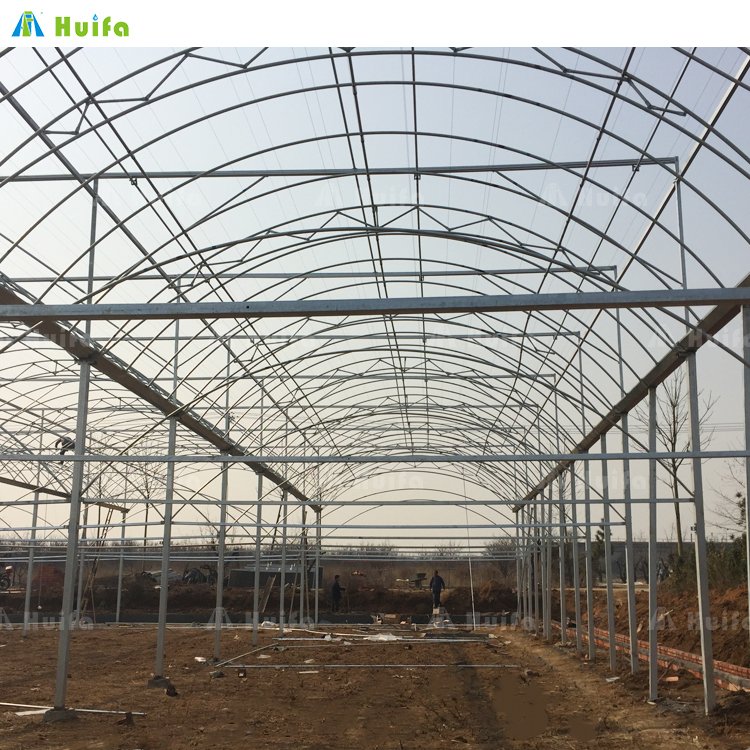 Low Cost Tunnel Automatic Greenhouses Plastic Film Green House Grow Kit Multi-Span Greenhouse System For Agriculture