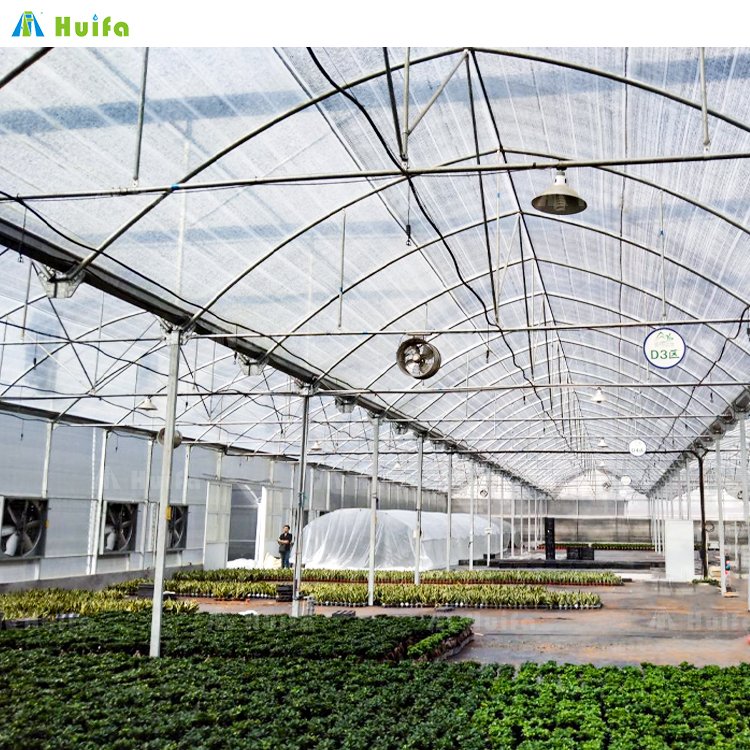 Low Cost Tunnel Automatic Greenhouses Plastic Film Green House Grow Kit Multi-Span Greenhouse System For Agriculture