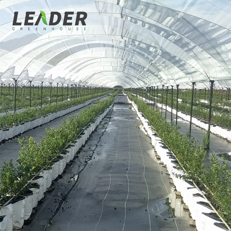 Agricultural multi span poly tunnel greenhouse 25L 30L black white anti UV plastic plant square grow bag for blueberry raspberry