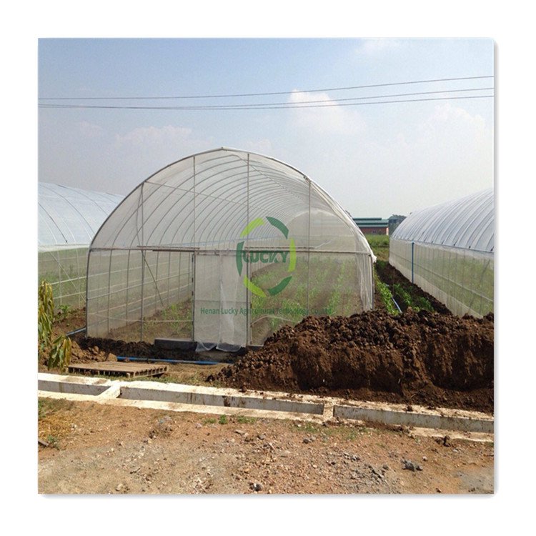 In Stock Fast Delivery Commercial Container House Green Mushroom Growing Greenhouse Smart Greenhouse With Cooling System