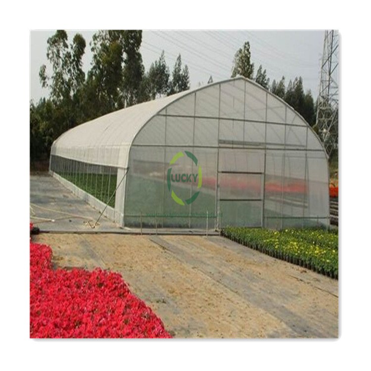 In Stock Fast Delivery Commercial Container House Green Mushroom Growing Greenhouse Smart Greenhouse With Cooling System