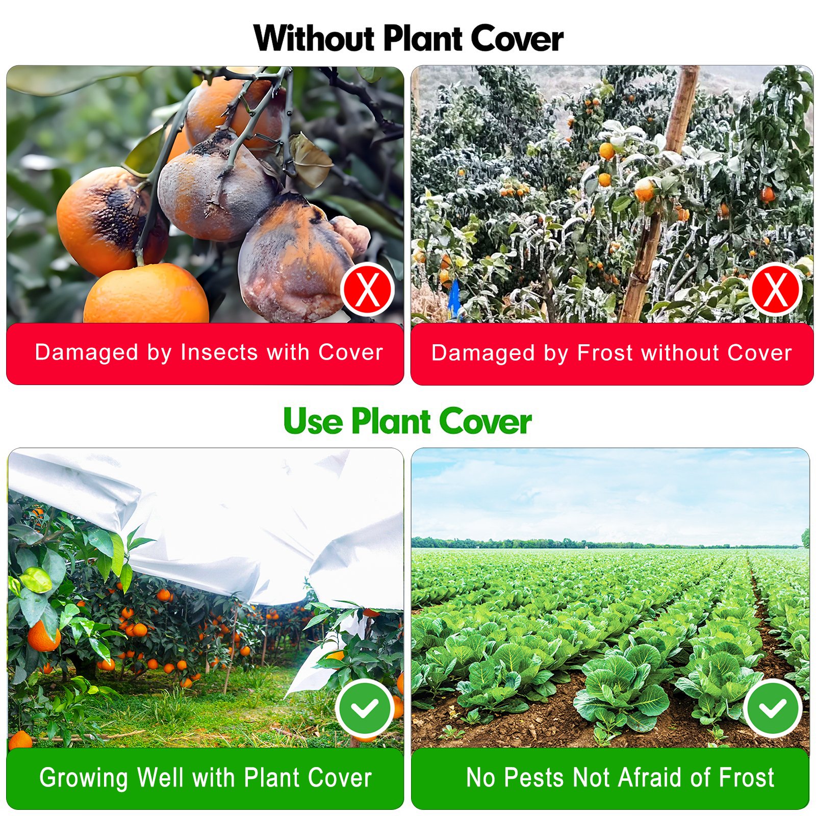 Winter Reusable 6ft x 164ft 10ft x 164ft Plants Warm Worth Frost Blanket High Tunnel Agriculture Greenhouse Fabric Roll