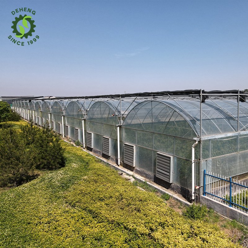Special Design Widely Used Greenhouse Plastic Agricultural Poly Plastic Film Vegetables Greenhouse For Sale